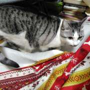 ヒメ日記 2026/02/05 18:54 投稿 桜井ともか 五十路マダム 郡山店