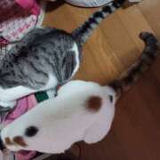 ヒメ日記 2026/02/11 14:58 投稿 桜井ともか 五十路マダム 郡山店