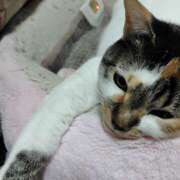 ヒメ日記 2026/02/13 08:00 投稿 桜井ともか 五十路マダム 郡山店