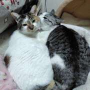 桜井ともか お礼日記(*^^*) 五十路マダム 郡山店