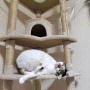 ヒメ日記 2026/03/24 22:58 投稿 桜井ともか 五十路マダム 郡山店