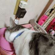 ヒメ日記 2026/04/03 20:10 投稿 桜井ともか 五十路マダム 郡山店