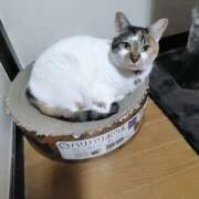 ヒメ日記 2026/04/11 17:38 投稿 桜井ともか 五十路マダム 郡山店