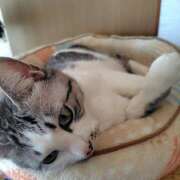 ヒメ日記 2026/04/12 14:16 投稿 桜井ともか 五十路マダム 郡山店