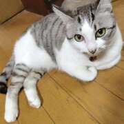 ヒメ日記 2026/04/18 18:26 投稿 桜井ともか 五十路マダム 郡山店