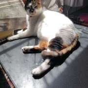 ヒメ日記 2026/04/19 16:10 投稿 桜井ともか 五十路マダム 郡山店