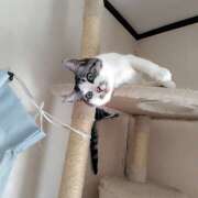 ヒメ日記 2026/04/20 19:20 投稿 桜井ともか 五十路マダム 郡山店