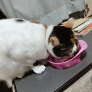 ヒメ日記 2026/04/22 19:12 投稿 桜井ともか 五十路マダム 郡山店