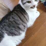 ヒメ日記 2026/04/26 16:40 投稿 桜井ともか 五十路マダム 郡山店