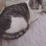 ヒメ日記 2026/04/29 11:50 投稿 桜井ともか 五十路マダム 郡山店