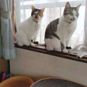 ヒメ日記 2026/04/30 19:16 投稿 桜井ともか 五十路マダム 郡山店