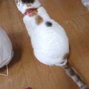 ヒメ日記 2026/06/09 18:24 投稿 桜井ともか 五十路マダム 郡山店