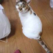 ヒメ日記 2026/06/09 23:00 投稿 桜井ともか 五十路マダム 郡山店