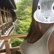 ヒメ日記 2025/09/06 12:24 投稿 まりや 即アポ奥さん ～津・松阪店～