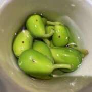 ヒメ日記 2025/05/08 22:44 投稿 ことの 大奥 梅田店