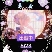 ヒメ日記 2025/05/23 12:26 投稿 ことの 大奥 梅田店