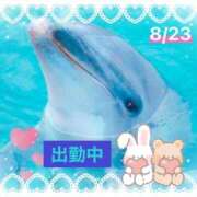 ヒメ日記 2025/08/23 09:39 投稿 ことの 大奥 梅田店