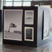 ヒメ日記 2025/08/26 19:49 投稿 ことの 大奥 梅田店