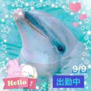 ヒメ日記 2025/09/09 11:31 投稿 ことの 大奥 梅田店