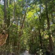 ヒメ日記 2025/12/09 07:41 投稿 ことの 大奥 梅田店