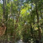 ヒメ日記 2025/12/09 07:30 投稿 ことの 大奥 梅田店