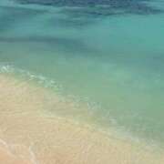 ヒメ日記 2026/01/03 12:50 投稿 ことの 大奥 梅田店