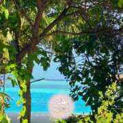 ヒメ日記 2026/01/05 09:33 投稿 ことの 大奥 梅田店