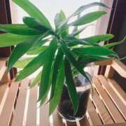 ヒメ日記 2026/01/30 21:23 投稿 ことの 大奥 梅田店