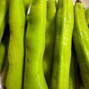 ことの 3日お休みDAY 大奥 梅田店