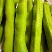 ことの 3日お休みDAY 大奥 梅田店