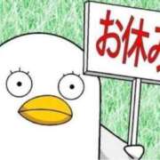 ヒメ日記 2026/04/21 20:50 投稿 ことの 大奥 梅田店