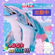 ヒメ日記 2026/06/12 22:03 投稿 ことの 大奥 梅田店