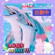 ヒメ日記 2026/06/12 22:21 投稿 ことの 大奥 梅田店