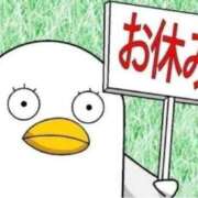 ヒメ日記 2026/06/19 01:51 投稿 ことの 大奥 梅田店