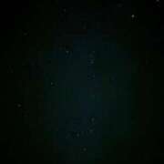 のあ すみません CUTE