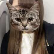 ヒメ日記 2025/03/29 17:22 投稿 体験入店⭐いずみ⭐ ドルチェ