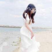 ヒメ日記 2025/05/19 10:41 投稿 なぎさ チューリップ福井本館