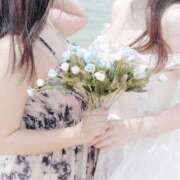 ヒメ日記 2025/07/27 08:58 投稿 なぎさ チューリップ福井本館