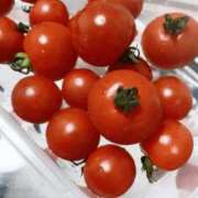 ヒメ日記 2025/03/22 20:35 投稿 藤ヶ谷はる(ふじがやはる) 九州熟女　八代店