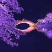 ヒメ日記 2025/03/31 17:55 投稿 藤ヶ谷はる(ふじがやはる) 九州熟女　八代店