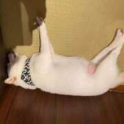 ヒメ日記 2025/04/11 10:25 投稿 藤ヶ谷はる(ふじがやはる) 九州熟女　八代店