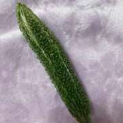 ヒメ日記 2025/04/14 11:35 投稿 藤ヶ谷はる(ふじがやはる) 九州熟女　八代店