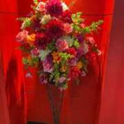 ヒメ日記 2025/08/02 11:05 投稿 藤ヶ谷はる(ふじがやはる) 九州熟女　八代店