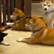 ヒメ日記 2025/08/05 08:36 投稿 藤ヶ谷はる(ふじがやはる) 九州熟女　八代店