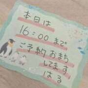 ヒメ日記 2025/09/28 11:15 投稿 藤ヶ谷はる(ふじがやはる) 九州熟女　八代店