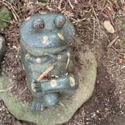 ヒメ日記 2025/11/20 11:25 投稿 藤ヶ谷はる(ふじがやはる) 九州熟女　八代店