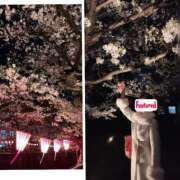 ヒメ日記 2025/04/07 21:48 投稿 長野(ながの) 熟女出逢い会『百合の園』目黒店