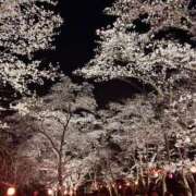 ヒメ日記 2025/04/03 00:19 投稿 にいこ 香川サンキュー