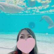 ヒメ日記 2025/06/04 18:22 投稿 高山みな お姉さんLABO -艶-