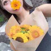 ヒメ日記 2025/08/20 22:38 投稿 高山みな お姉さんLABO -艶-